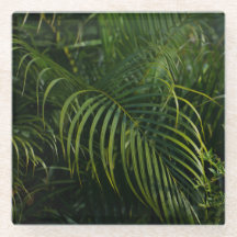 Tropische bladeren, donkergroene botanische