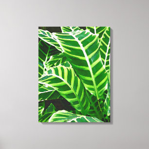 Tropische bladeren, Zebra, donkergroen Canvas Afdruk