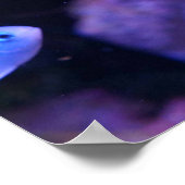 Tropische blauwe vis poster (Hoek)