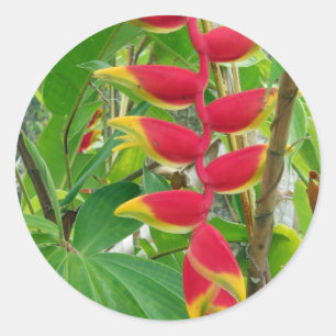 Tropische bloem ronde sticker