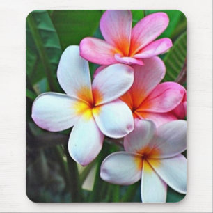 Tropische bloemen muismat