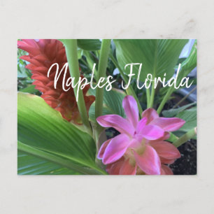 Tropische bloemen Naples Florida Briefkaart