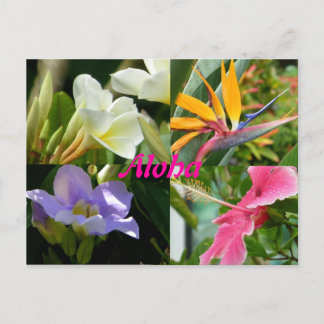 Tropische bloemen van Kauai Hawaii Briefkaart