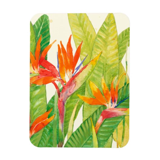 Tropische bloemen | Vogel van het Paradijs Magneet (Verticaal)