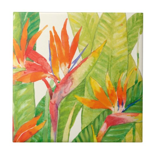 Tropische bloemen | Vogel van het Paradijs Tegeltje (Voorkant)