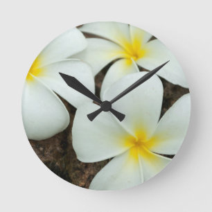 Tropische bloesems in het zuidelijke deel van de S Ronde Klok