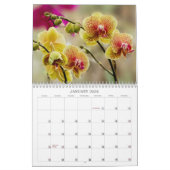 Tropische bloesems kalender (Jan 2026)