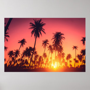 Tropische bomen zonsondergang poster
