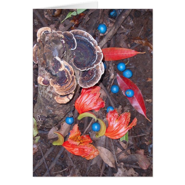 Tropische bosgrond (Voorkant)