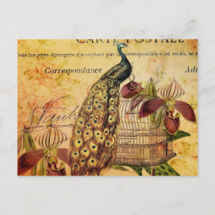 tropische botanische orchidee moderne pauw briefkaart