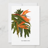 Tropische Bries Weelderige Botanische Foto Bewaar Kaart (Achterkant)