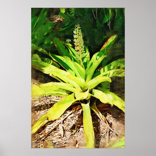 Tropische Bromeliad - wandelen in de tuin Poster (Voorkant)