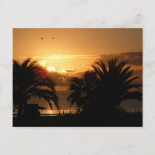 Tropische Canarische Eilanden zonsopgang RIU Briefkaart