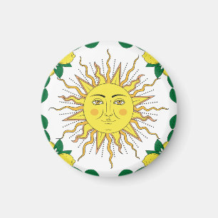 Tropische citroenvruchten, Sun Face. Magneet