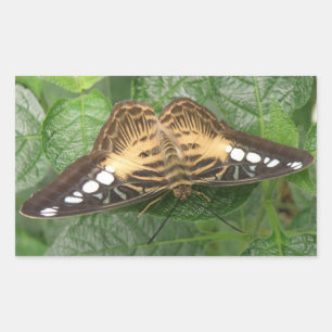 Tropische Clipper Butterfly-stickers Rechthoekige Sticker