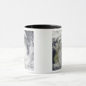 Tropische Cyclone Gael van Madagascar 2 Mok (Midden)