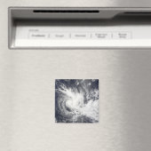 Tropische cycloon Daman Magneet (Insitu (Vaatwasser))
