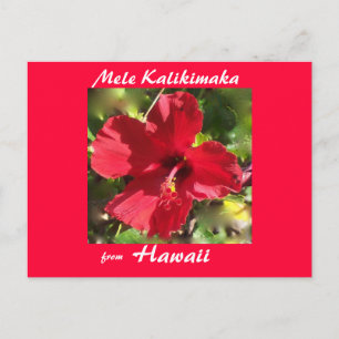 Tropische de fotokaart van Kerstmis van de Bloem Feestdagenkaart