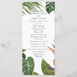 Tropische droom programma