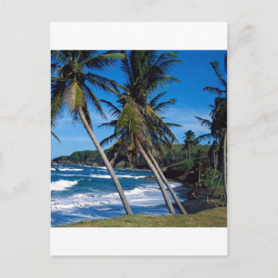 Tropische eilanden — zomergolven Saint Lucia Briefkaart