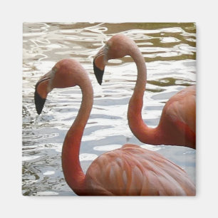 Tropische Flamingo Vogelmagneet Magneet