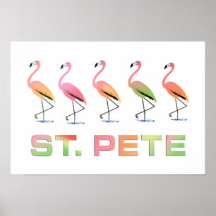 Tropische flamingos - St Pete Poster