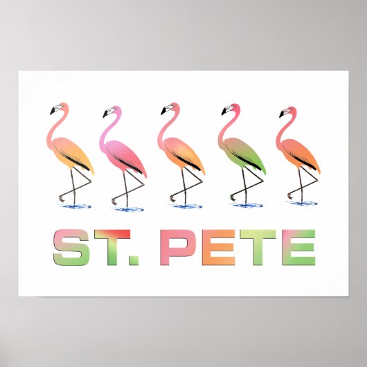 Tropische flamingos - St Pete Poster (Voorkant)