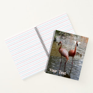 Tropische flamingovogels snijden. Tekst Notitieboe Notitieboek