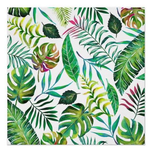 Tropische Flora Perfect Poster (Voorkant)