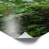 Tropische flora van het regenwoud van el yunque foto afdruk (Hoek)