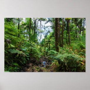 Tropische flora van het regenwoud van el yunque poster