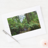 Tropische flora van het regenwoud van el yunque rechthoekige sticker (Envelop)