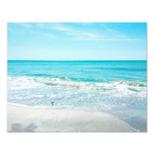 Tropische Florida Beach Sand Ocean Waves Sandpiper Foto Afdruk