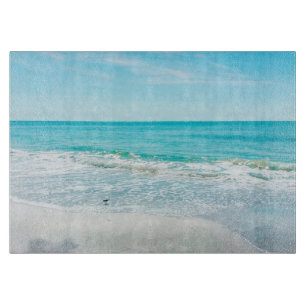 Tropische Florida Beach Sand Ocean Waves Sandpiper Snijplank