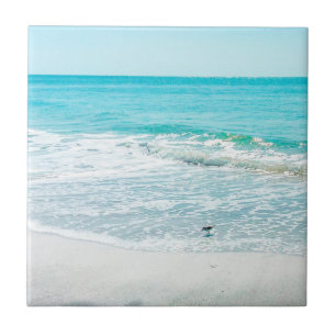 Tropische Florida Beach Sand Ocean Waves Sandpiper Tegeltje