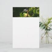 Tropische fotografie van de vogelsoort briefpapier (Staand voorkant)