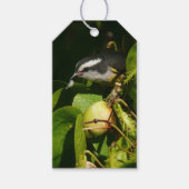 Tropische fotografie van de vogelsoort cadeaulabel (Voorkant)