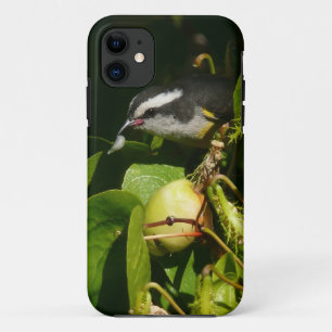 Tropische fotografie van de vogelsoort iPhone 11 hoesje