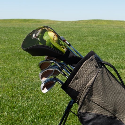 Tropische fotografie van de vogelsoort golfheadcover (Insitu)