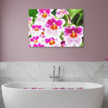 Tropische Fuchsia Orchideeën Ingepakt Canvas