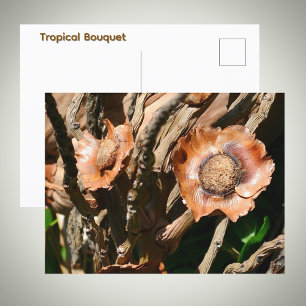 Tropische Gedroogde Kokosbloemen Bloemig Briefkaart