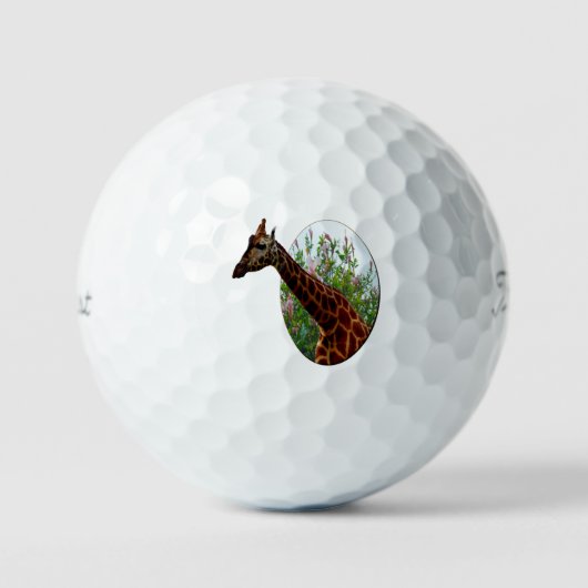 Tropische genade: Giraffe Popout kunst met Hibiscu Golfballen (Voorkant)