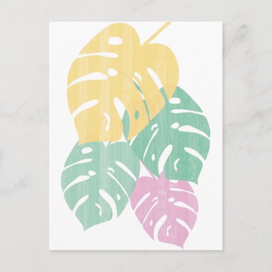 Tropische groen - Monstera Leaves Briefkaart (Voorkant)