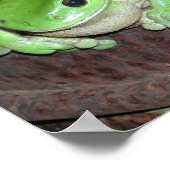 Tropische groene boomkikker poster (Hoek)