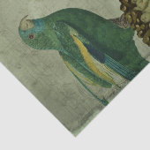  Tropische Groene Parrot Tissuepapier (Detail)