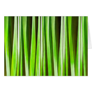 Tropische Groene Riverweed