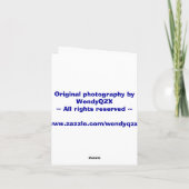 Tropische groeten kaart (Achterkant)