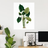 Tropische grote bladeren botanische afdrukfilodend poster (Thuiskantoor)