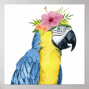 Tropische Halo - Parrot Poster