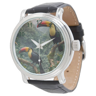 Tropische harmonie: twee Toucanen in het bladerdak Horloge